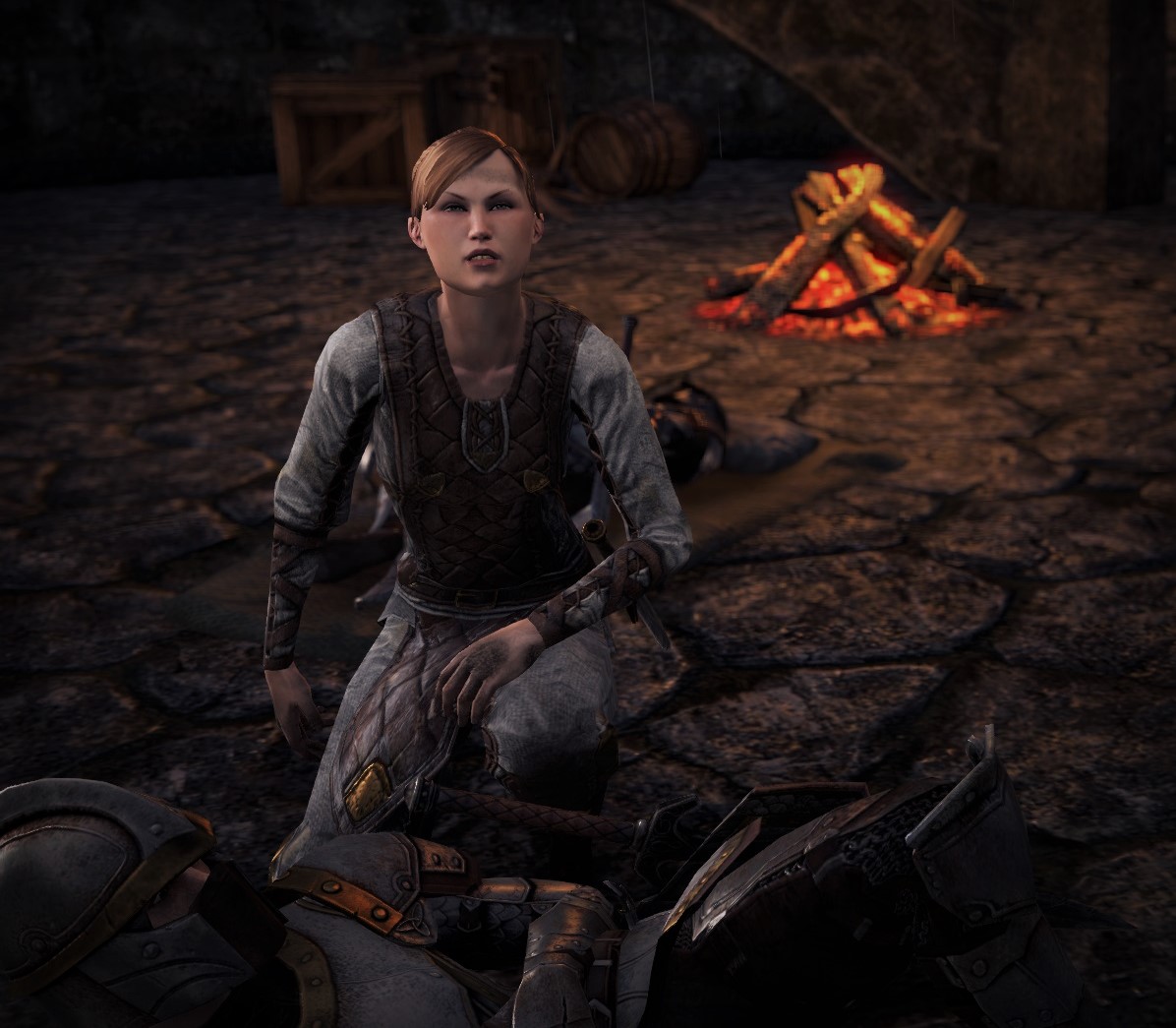 222. The Priest of Arkay | The Tamriel Drifter