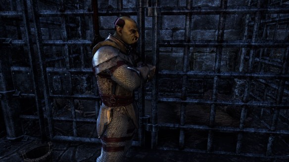 230 (j). Renegades of Shornhelm