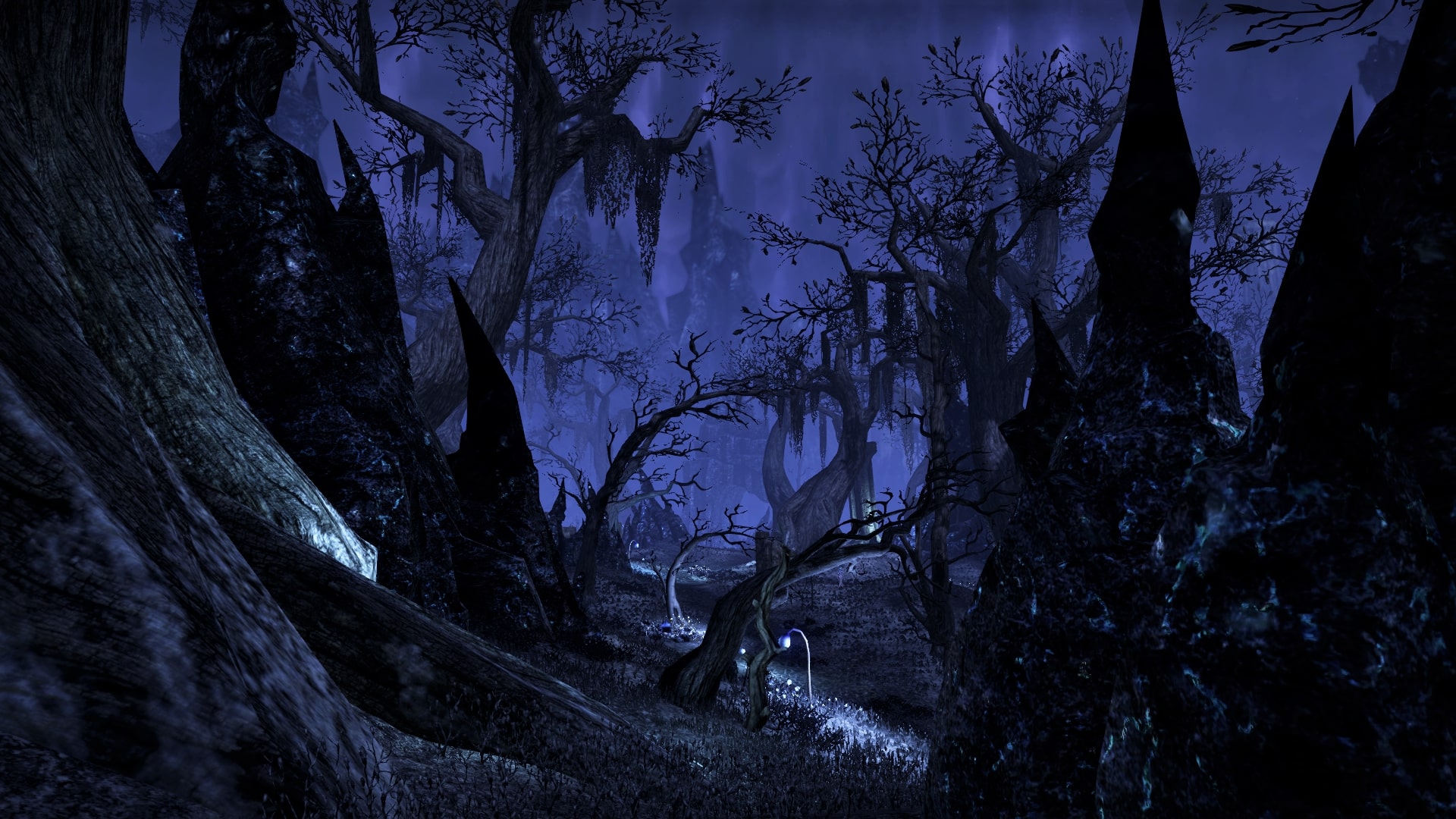 502 (b). Wisdom is the edge of a coin