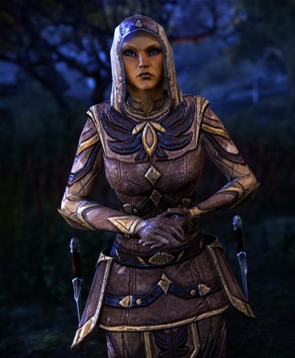 649 (a). One night in Chorrol 2 - The lonely bandit