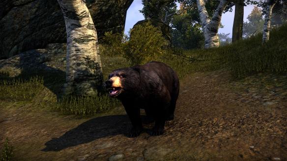 660 (a). Oh well, bears will be bears