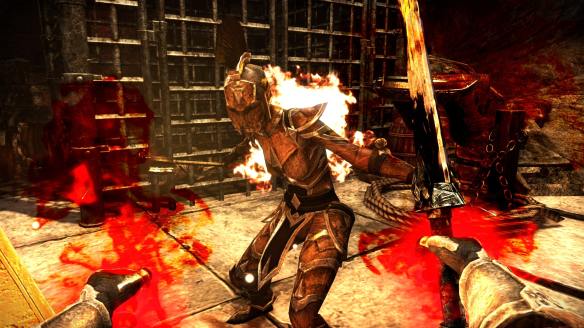 667 (j). Of flightless birds and their foolish ambitions