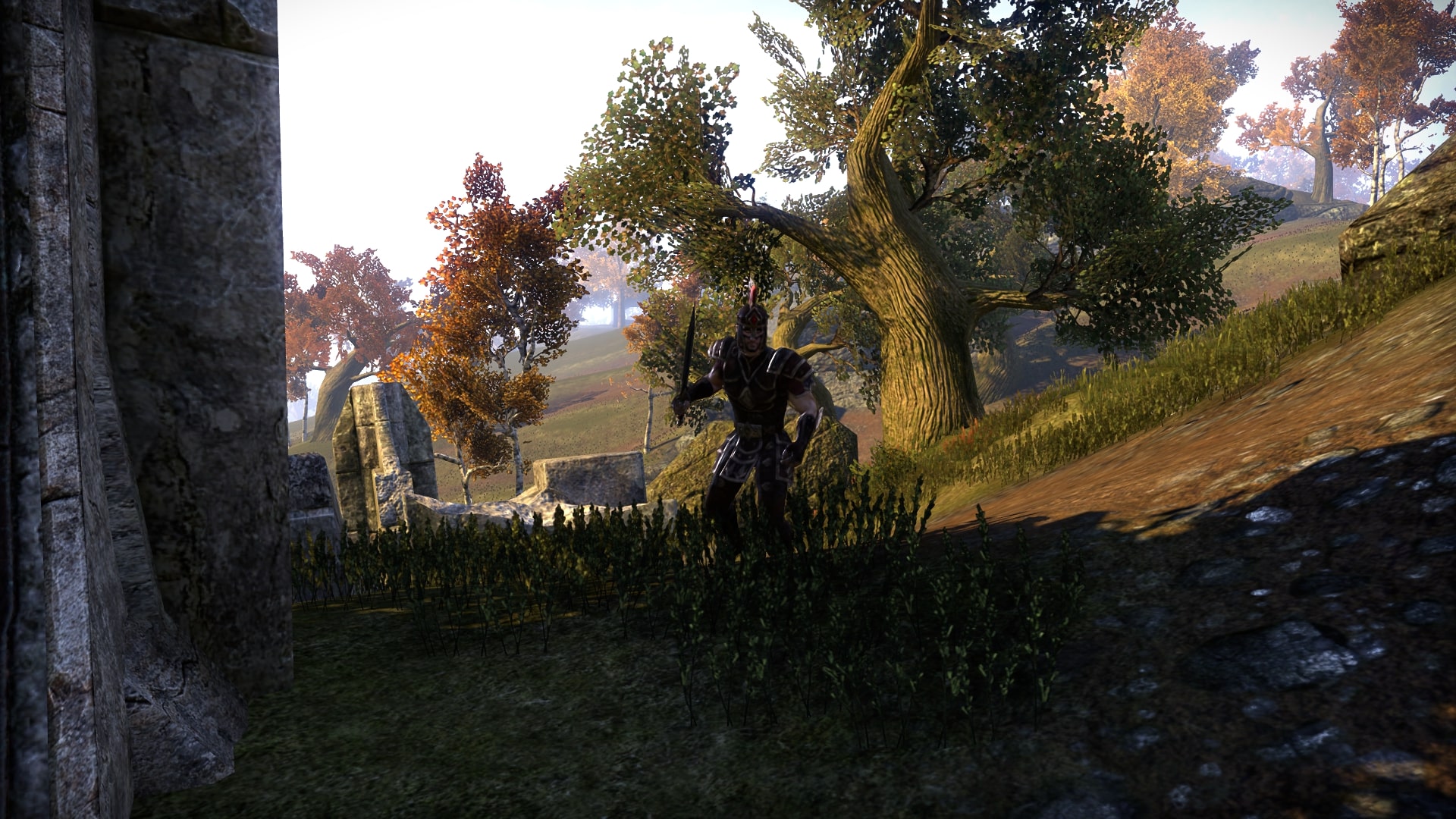 683 (e). Cleft loyalties