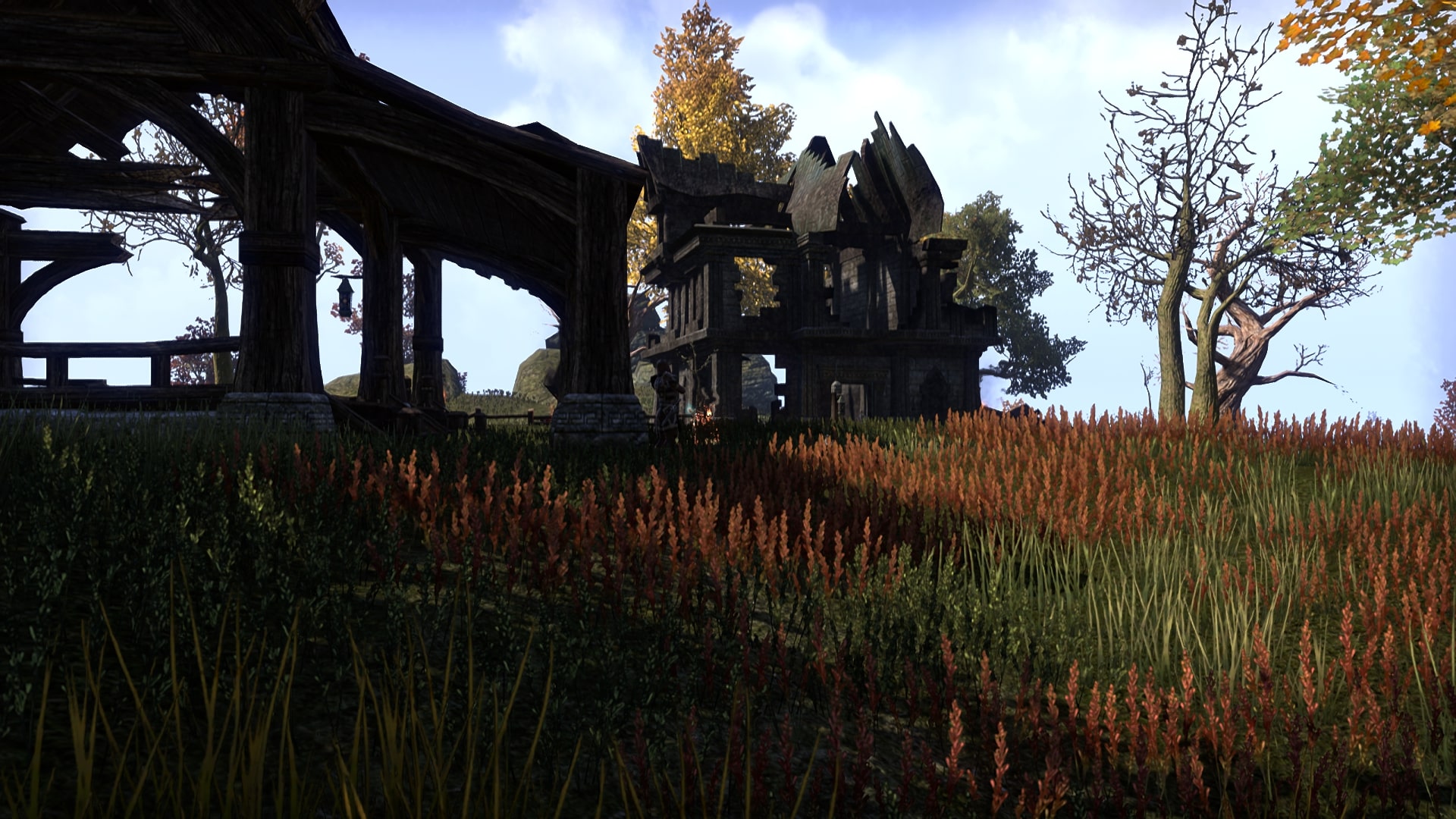 685 (a). Burning ambitions